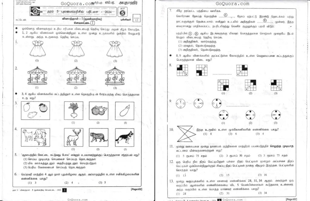 Grade 05 IQ paper