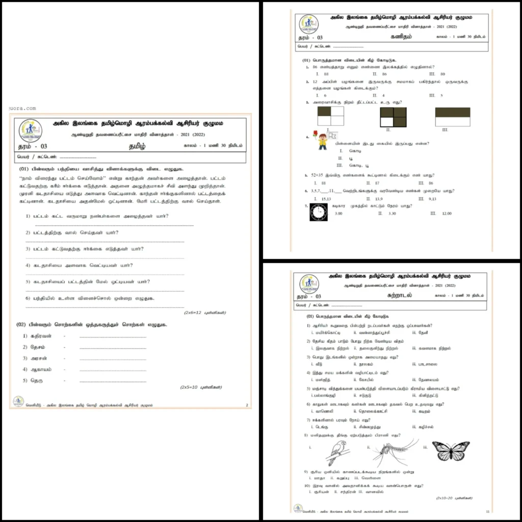 Grade 3 third term exam papers