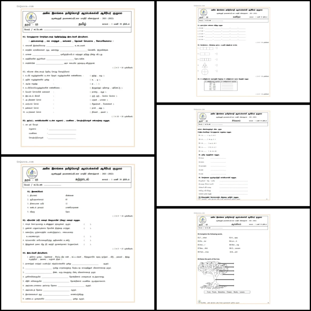 Grade 5 3rd term unit exam papers