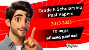 Grade 5 Scholarship Past Papers Tamil medium Pdf Collection (2013-2023)