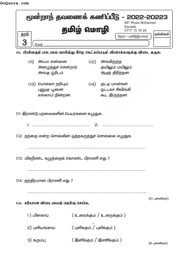 Grade 3 third term papers pdf