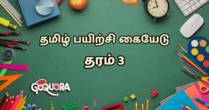 தரம் 3 தமிழ் பயிற்சி கையேடு Pdf