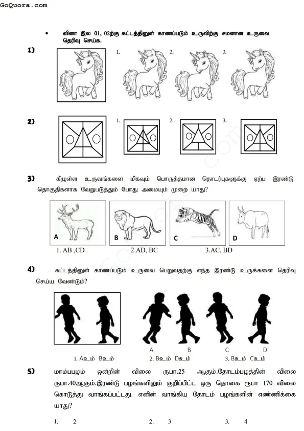 Grade 5 IQ Questions Pdf