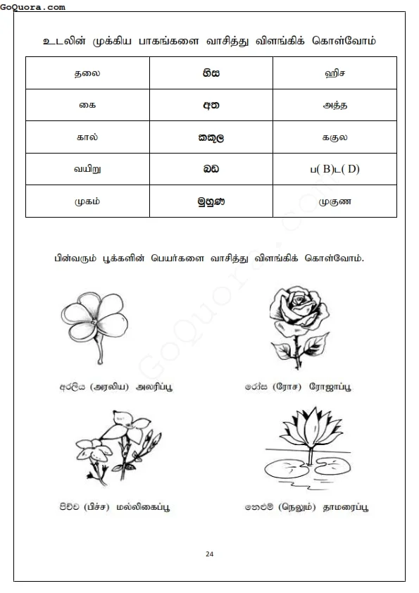 Grade 3 worksheets Pdf tamil medium
