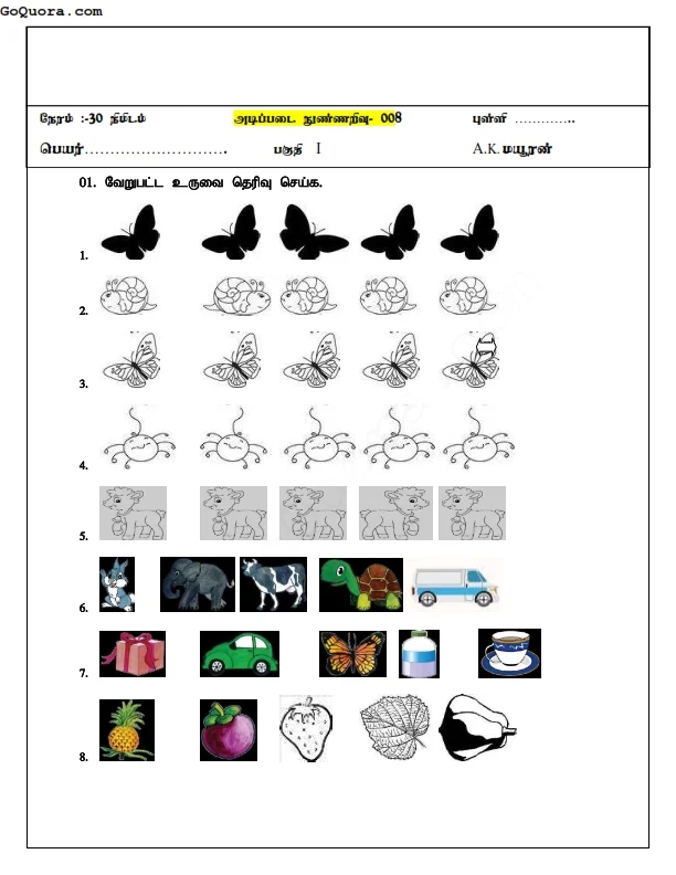தரம் 3 நுண்ணறிவு செயலட்டைகள்