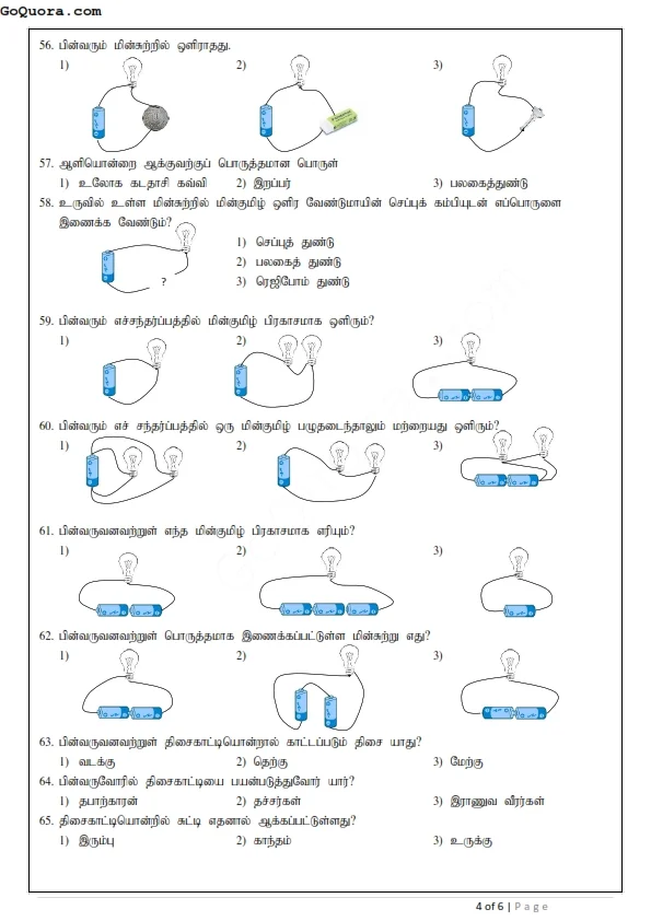 Grade 4 ERA Unit Papers 2025