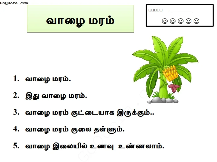 ஆரம்பப்பிரிவு மாணவர்களுக்கான வாசிப்பு பயிற்சிகள்