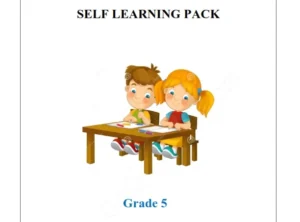 Grade 5 English Self Learning Pack