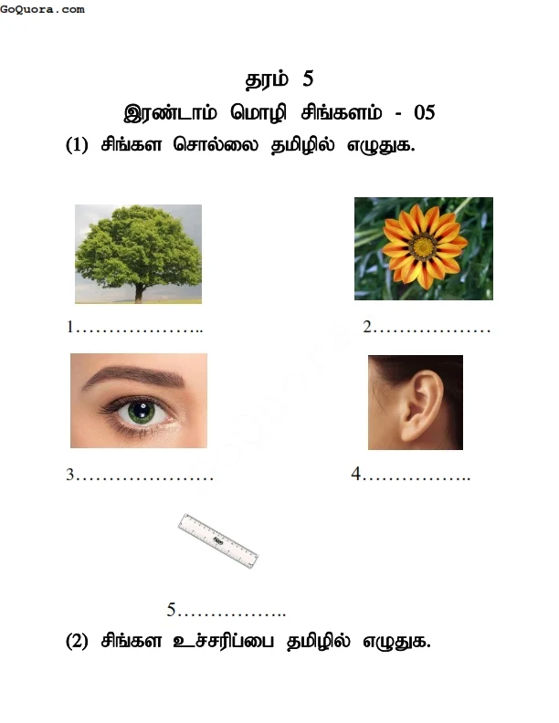 Grade 5 Second language Sinhala worksheets