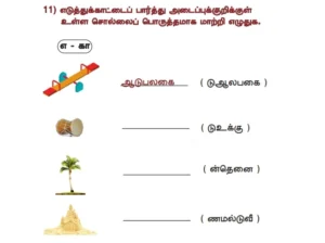 தரம் 2, 3 மேலதிக பயிற்சி செயலட்டைகள்