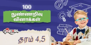 100 நுண்ணறிவு வினாக்கள் (100 IQ Questions) - தரம் 4, 5